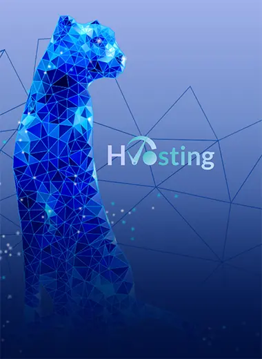 Дизайн сайту хостингової компанії HVOSTING.ua